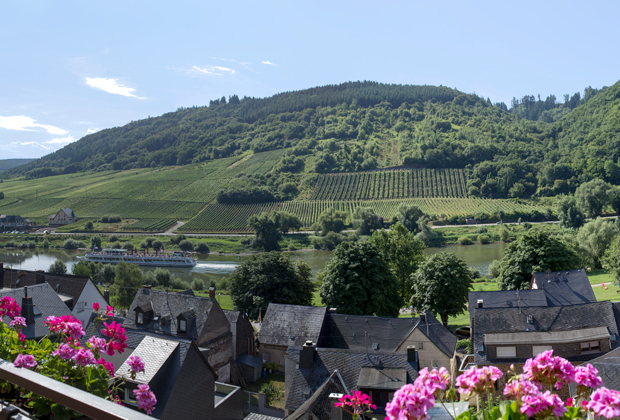 Moselblick auf dem Südbalkon