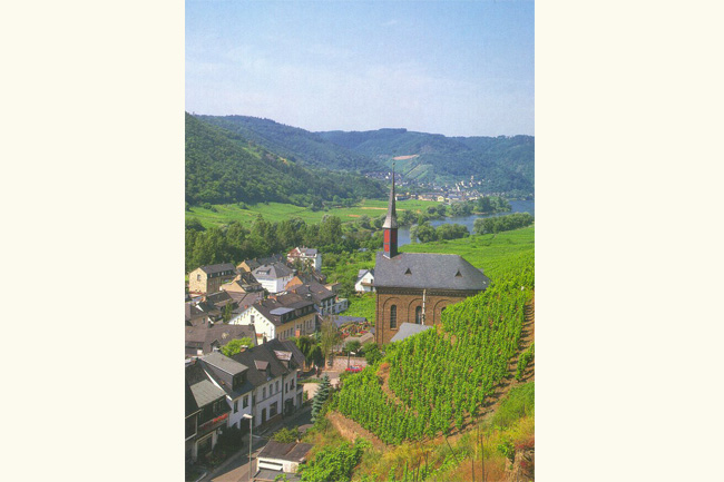 Blick auf Valwig aus den Weinbergen