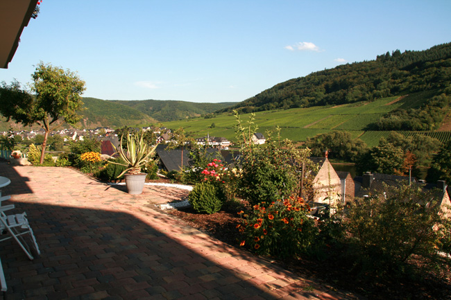Garten hinter dem Haus